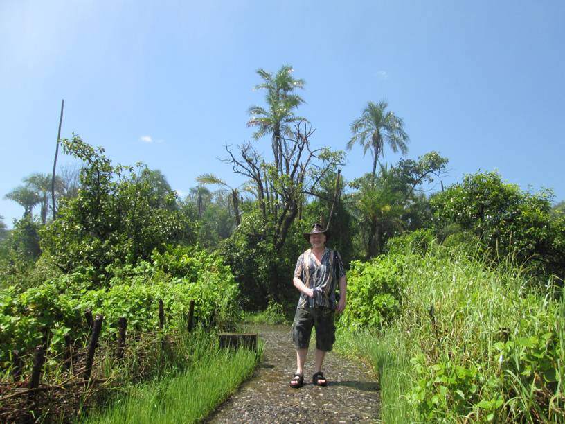 in the Rainforest National Park